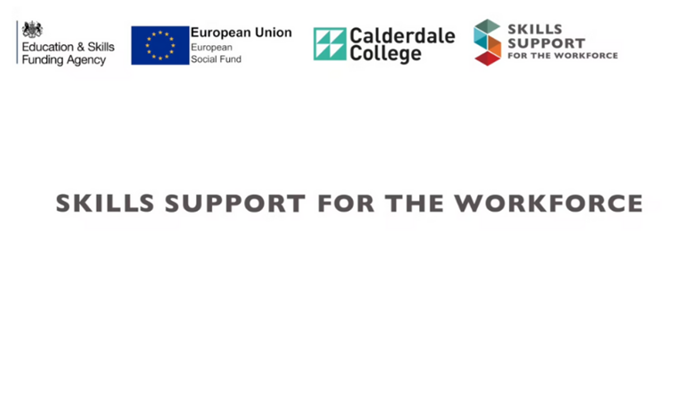 Skills Support for the Workforce 